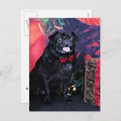 Weihnachten - Mops - Kleine Moe (Vorne/Hinten)