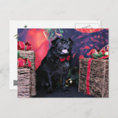 Weihnachten - Mops - Kleine Moe (Vorne/Hinten)