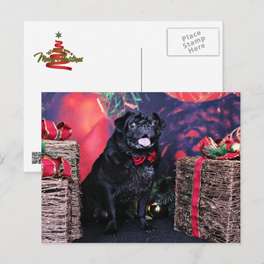 Weihnachten - Mops - Kleine Moe (Vorne/Hinten)