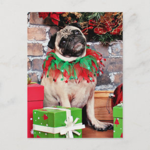 Weihnachten - Mops - Lily Lou