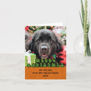 Weihnachten - Neufundland - Izzie
