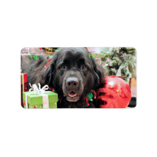 Weihnachten - Neufundland - Izzie Adressaufkleber