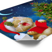 Weihnachten Niedlich Carol Kitten Weihnachtsmannmü Poster (Ecke)