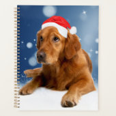 Weihnachten Niedlich Golden Retriever Hund Weihnac Planer (Vorderseite)