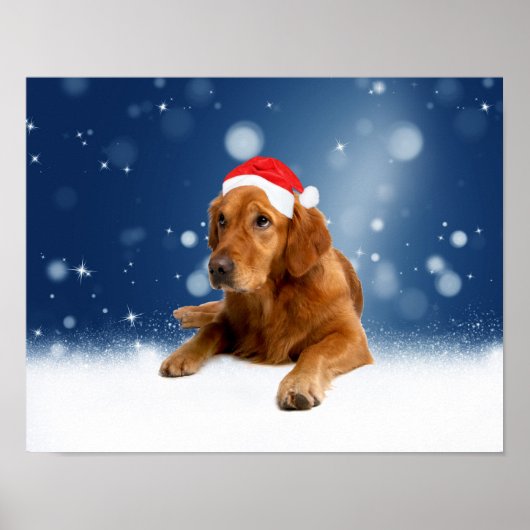 Weihnachten Niedlich Golden Retriever Hund Weihnac Poster (Vorne)