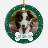 Weihnachten Niedlich Grün Funkelnd Haustier Foto