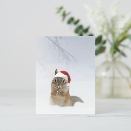 Weihnachten Niedlicher Chipmunk im Schnee Postkarte (Stehend Vorderseite)