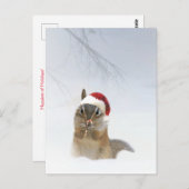 Weihnachten Niedlicher Chipmunk im Schnee Postkarte (Vorne/Hinten)