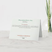 Weihnachten-Nordlichter mit Santa Feiertagskarte (Rückseite)