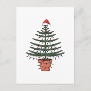 Weihnachten Norfolkinsel Kiefern getopft Araucaria Postkarte