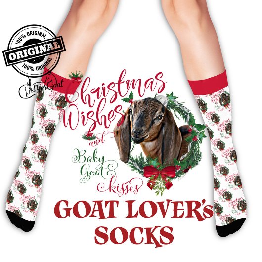 Weihnachten Nubian Doeling Baby Goat Wünsche Socken