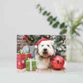 Weihnachten - Old English Sheepdog - Alphy (Stehend Vorderseite)