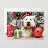 Weihnachten - Old English Sheepdog - Alphy (Vorne/Hinten)