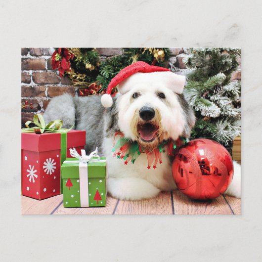 Weihnachten - Old English Sheepdog - Alphy (Vorderseite)