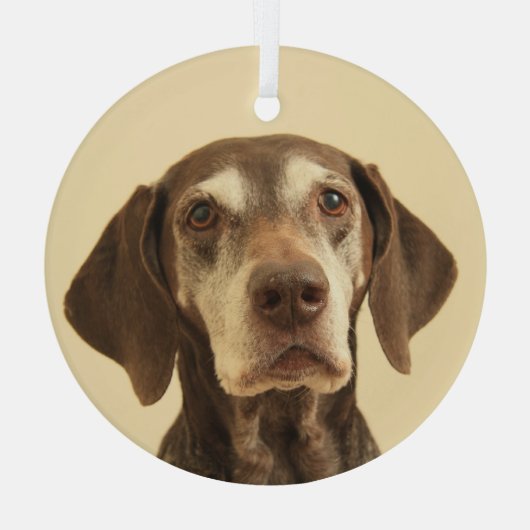 Weihnachten Ornament Aus Glas (Rückseite)