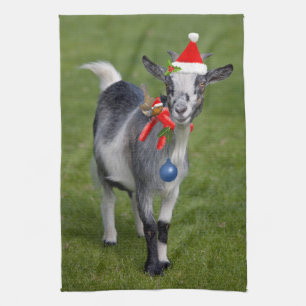 Weihnachten Pals Küchentuch