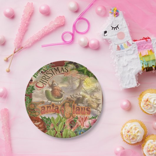 Weihnachten Pappteller (Party)