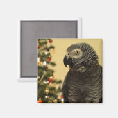 Weihnachten Parrot Magnet (Vorderseite/Rückseite)