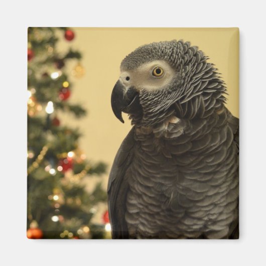 Weihnachten Parrot Magnet (Vorne)