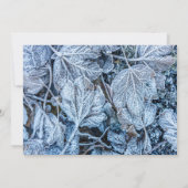 Weihnachten Party Blue Blätter Schnee Urlaub Winte Einladung (Rückseite)