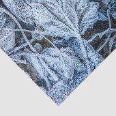 Weihnachten Party Blue Blätter Schnee Urlaub Winte Seidenpapier (Ausschnitt)