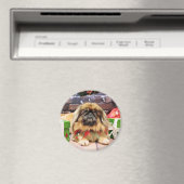 Weihnachten - Pekingese - Kieselsteine Magnet (In Situ (Geschirrspüler))