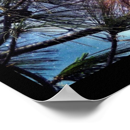 Weihnachten Pine cones unter einem Sternenhimmel Poster (Ecke)