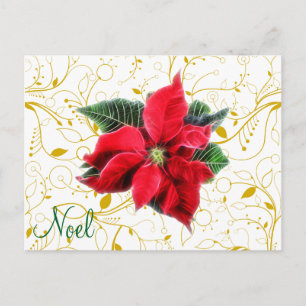 Weihnachten Poinsettia