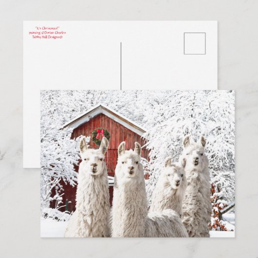 "Weihnachten!" Postkarte (Vorne/Hinten)