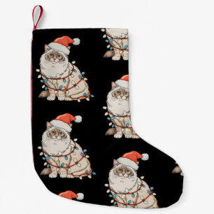 Weihnachten Ragdoll Süße Katze Weihnachtsmann Hut Kleiner Weihnachtsstrumpf