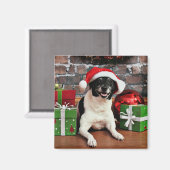 Weihnachten - Rat Terrier - Sparky Magnet (Vorderseite/Rückseite)
