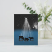 Weihnachten, religiös, Geburt Christi, Sterne, Feiertagspostkarte (Stehend Vorderseite)