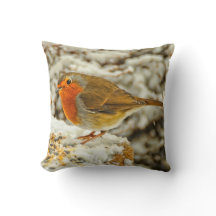 Weihnachten Robin im Schnee in Schottland