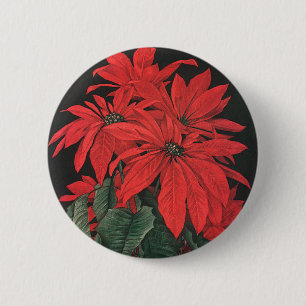 Weihnachten Rote Pflanze Blume Button