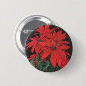 Weihnachten Rote Pflanze Blume Button (Vorne & Hinten)