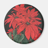 Weihnachten Rote Pflanze Blume Magnet (Vorne)