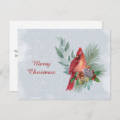 Weihnachten - Roter Kardinal - Geschäftsfarbe (Vorne/Hinten)