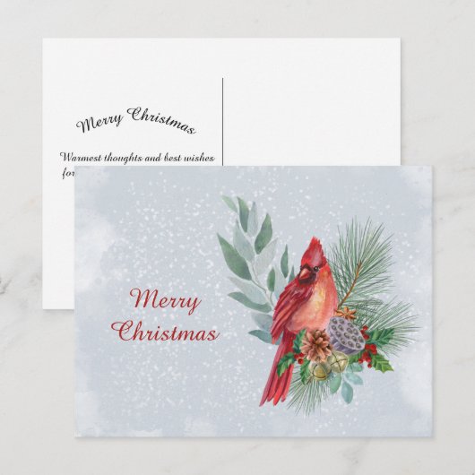 Weihnachten - Roter Kardinal - Geschäftsfarbe (Vorne/Hinten)