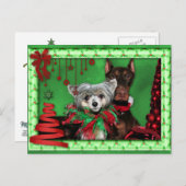 Weihnachten - Roter Ribbon Tree - Doberman Crestie (Vorne/Hinten)