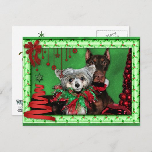 Weihnachten - Roter Ribbon Tree - Doberman Crestie (Vorne/Hinten)
