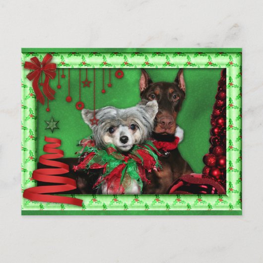 Weihnachten - Roter Ribbon Tree - Doberman Crestie (Vorderseite)