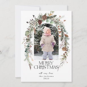 Weihnachten Rustikale Vegetation Berries Lotus Fot