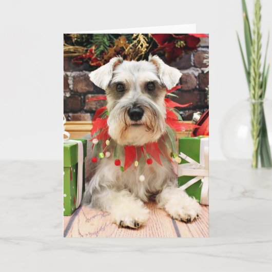 Weihnachten - Schnauzer - Abby (Vorderseite)