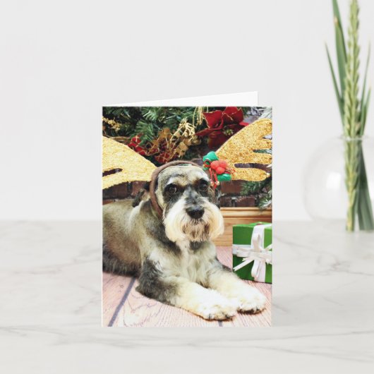 Weihnachten - Schnauzer - Apache (Vorderseite)