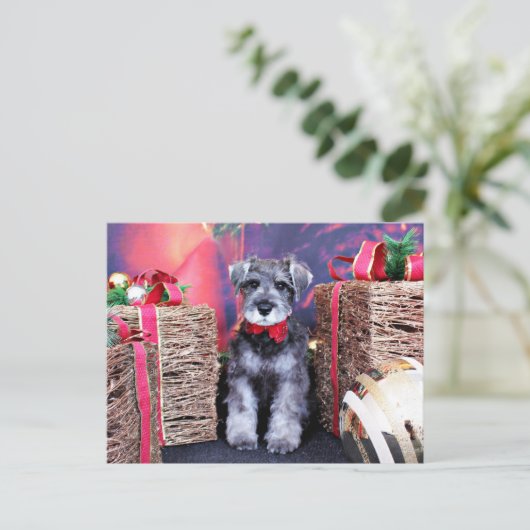 Weihnachten - Schnauzer - Artillerist (Stehend Vorderseite)