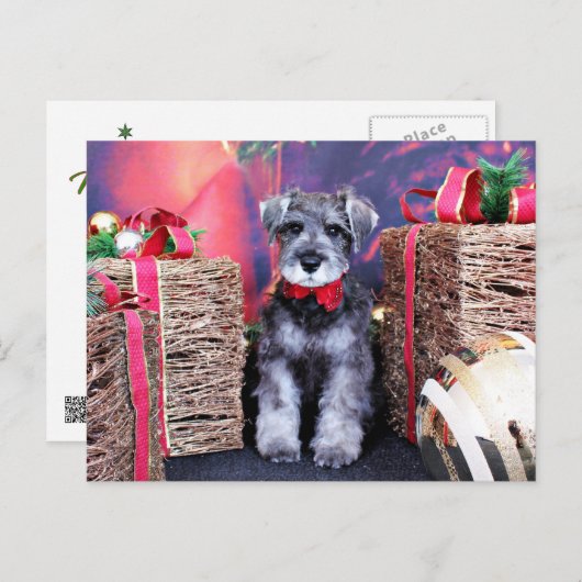 Weihnachten - Schnauzer - Artillerist (Vorne/Hinten)