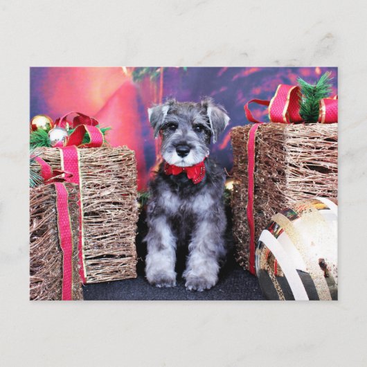 Weihnachten - Schnauzer - Artillerist (Vorderseite)