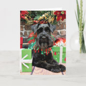 Weihnachten - Schnauzer - Fergie (Vorderseite)