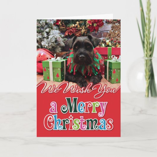 Weihnachten - Schnauzer Mix - Bentley (Vorderseite)