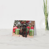 Weihnachten - Schnauzer Mix - Bentley (Vorderseite)
